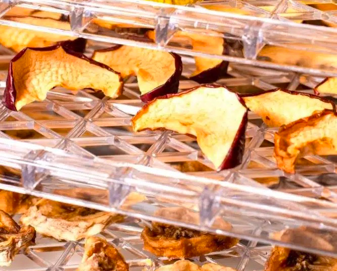 What Are The Basic Steps for Using A Food Dehydrator?