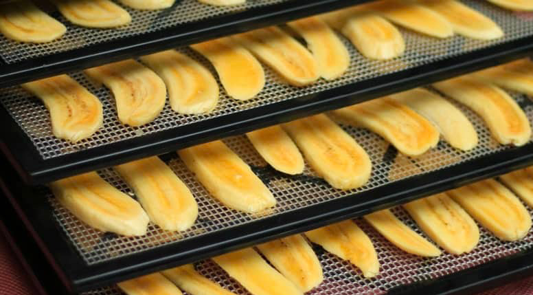 What Is A Food Dehydrator And How Does It Work?
