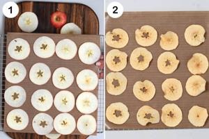 how to dehydrate apples in a food dehydrator1