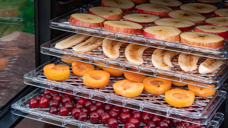 who makes cabela's food dehydrator1