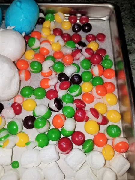 can a food dehydrator freeze dry candy3
