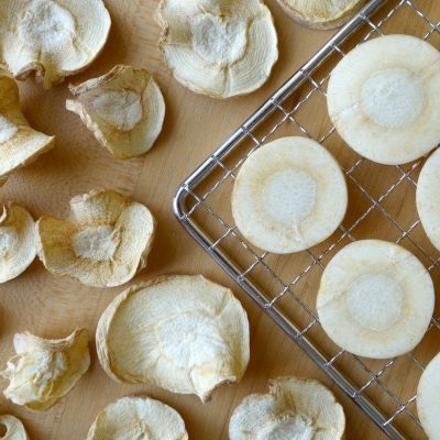 Who Makes The Best Heat Pump Foods Dryer?