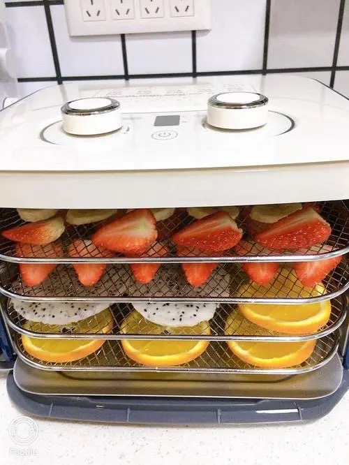 Pakistan's Fruit Dryer Machine Market Trends And Opportunities