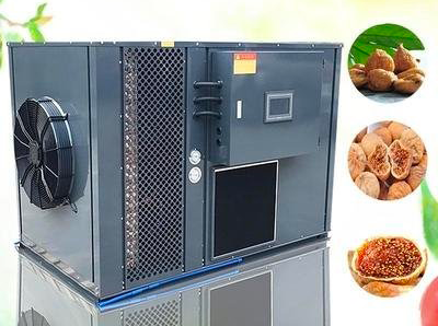 Should You Choose A Heat Pump Dryer Or A Vented Dryer for Your Home?