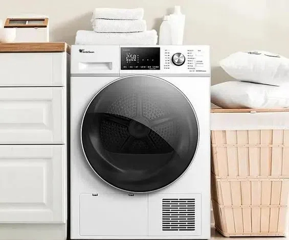 What Are The Best Heat Pump Dryers?