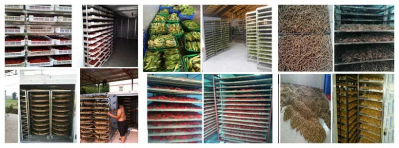 industrial food drying machine2
