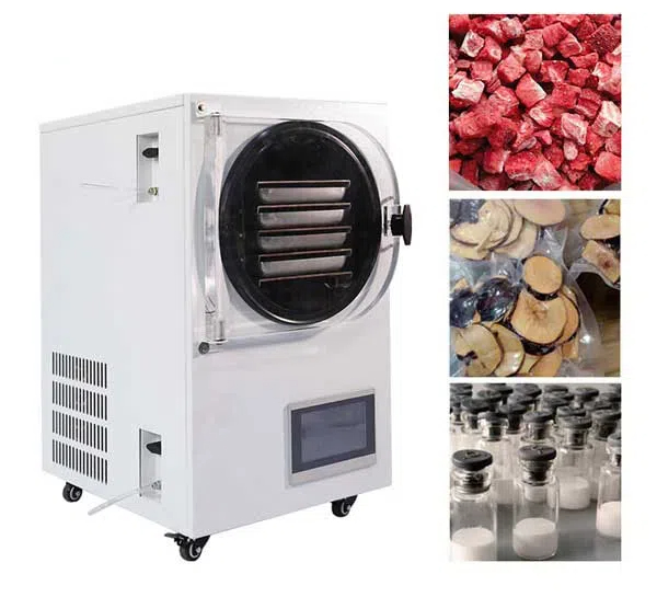 Unlock the Flavors of Every Season with a Dried Food Machine