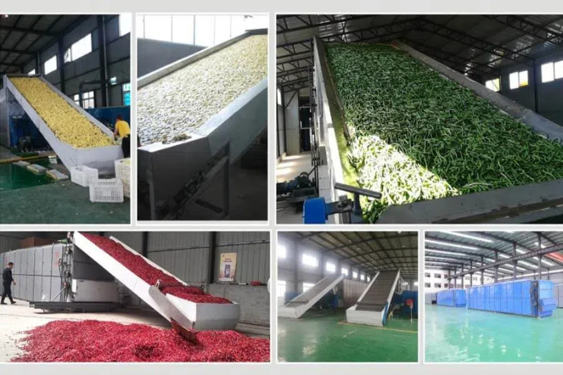 types of food drying machine2