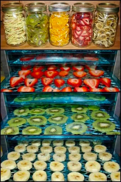 freeze drying food machine4